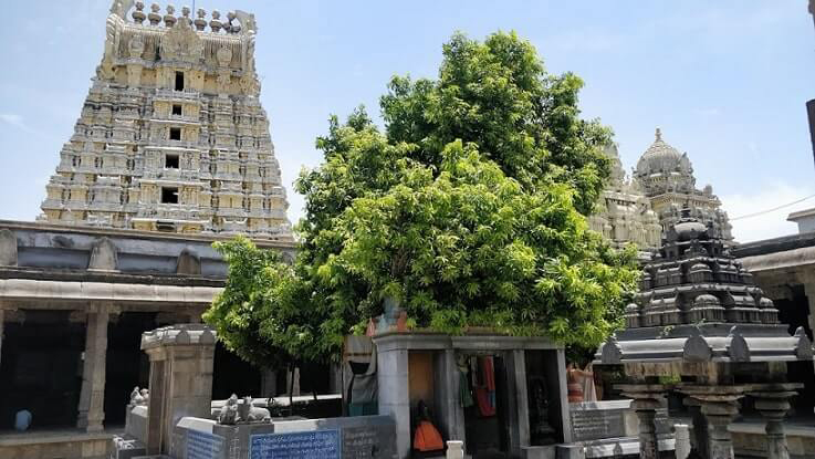 KancheepuramDistrict_EakambareswararTemple_Kanchipuram-shivanTemple