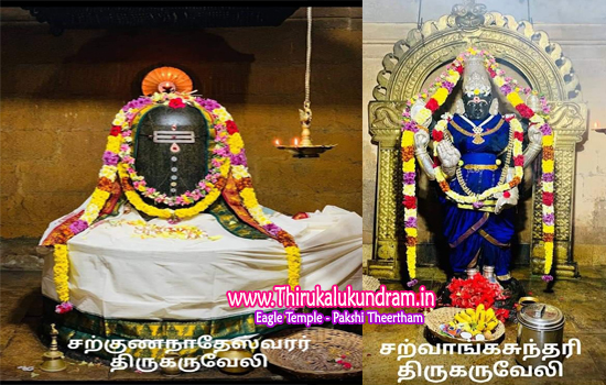 ThiruvaarurDistrict_SargunaNatheswararSwamyTemple-Karuveli_shivanTemple